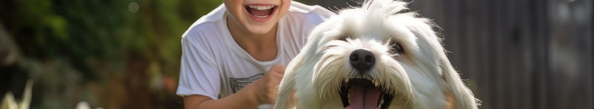 幹細胞培養上製